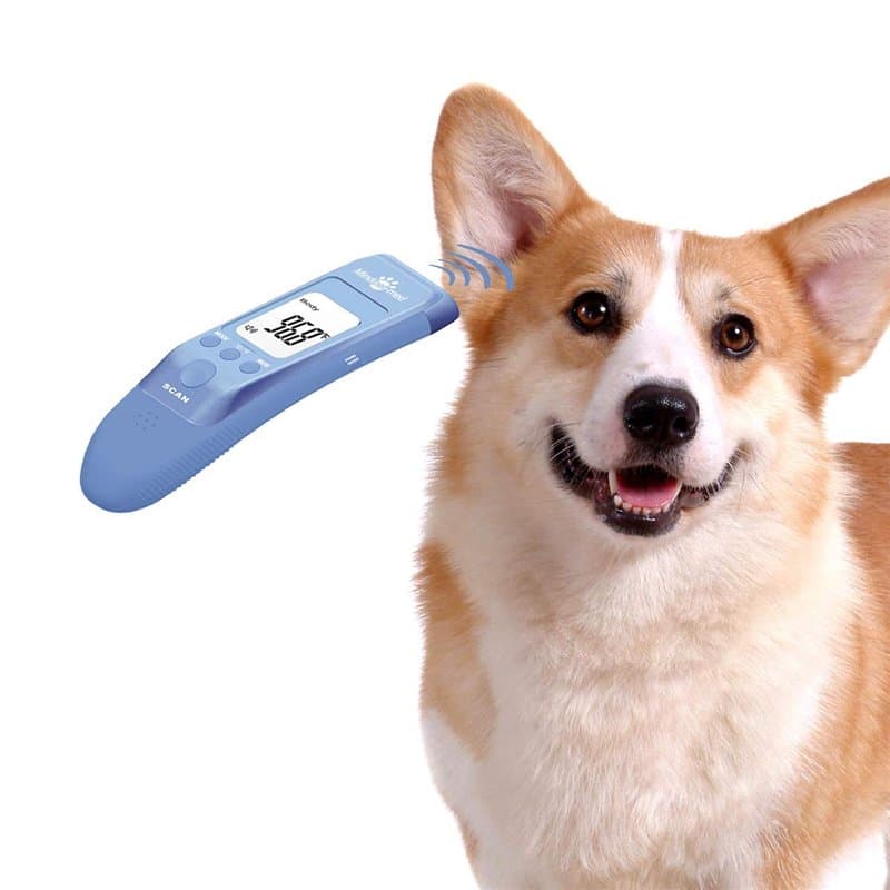 Thermomètre clinique rapide pour animaux de compagnie pour chiens, modes corporels Mesure avec précision la température des orei