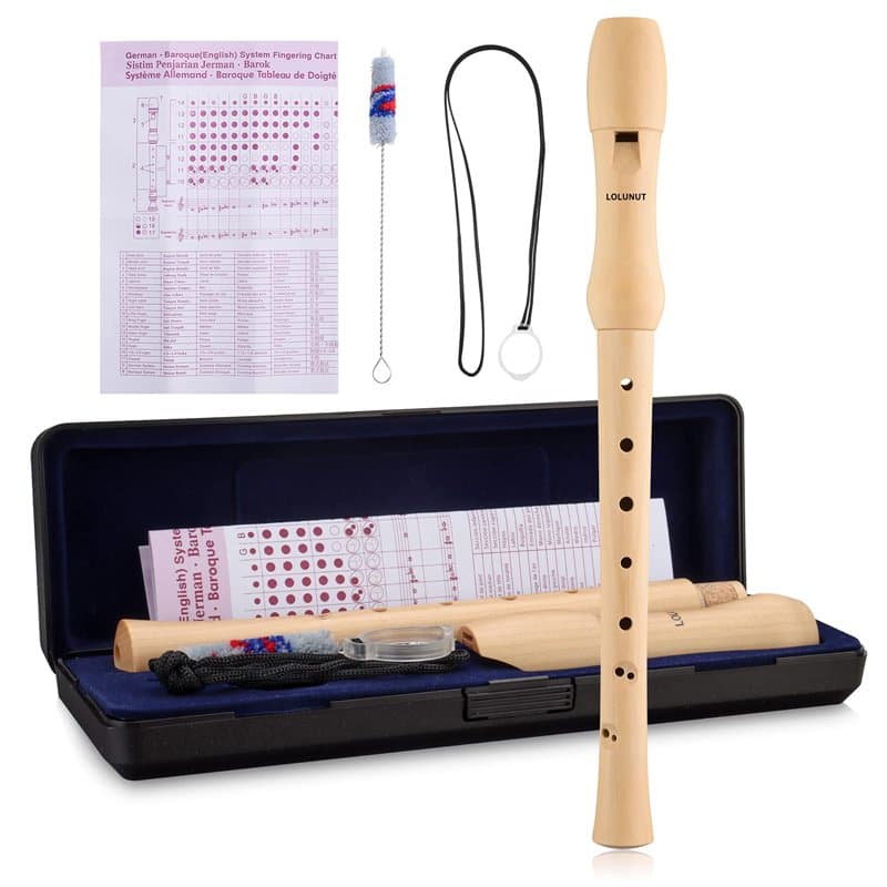 Flûte à bec baroque à 8 trous, enregistreur soprano en do fabriqué en bois d'érable avec étui de rangement, tableau des doigts e