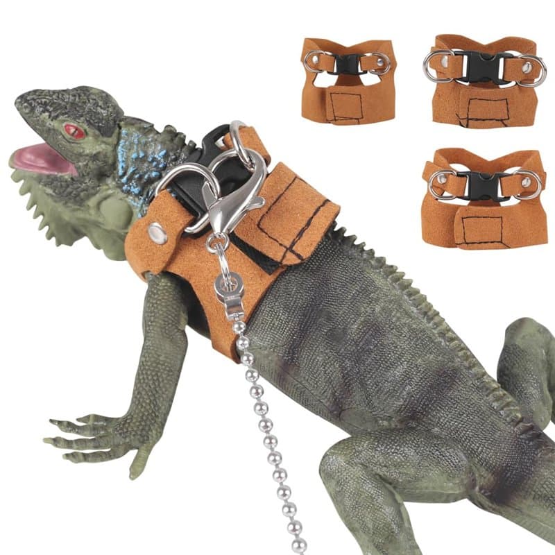 Harnais et Laisse pour Dragon Barbu,3 Tailles Réglables,Accessoires pour Reptiles et Lézards avec Laisse de 5,4 Pieds pour Drago