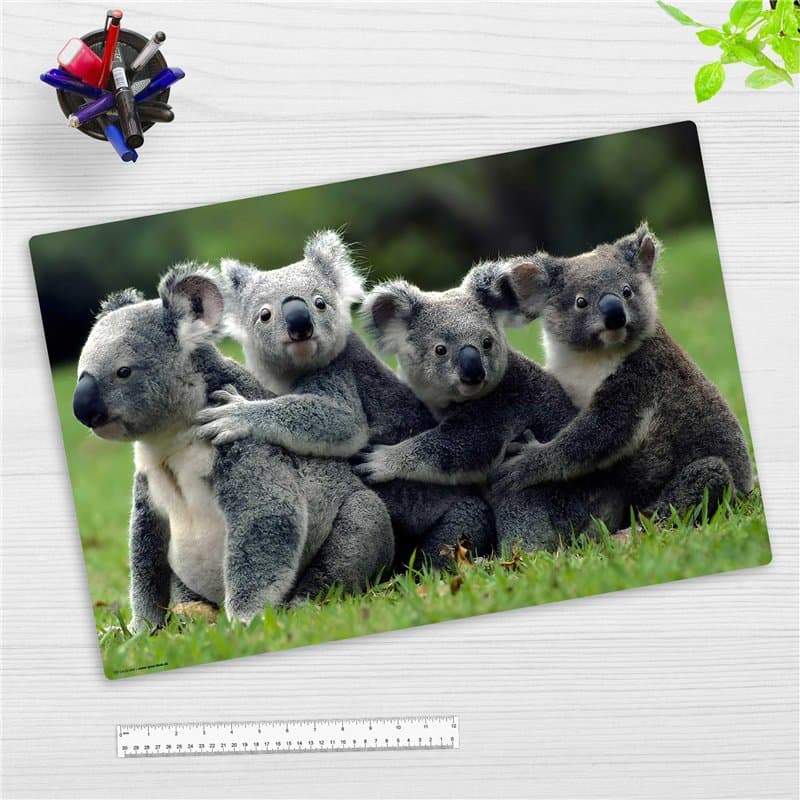 Sous-main pour enfants et adultes - Famille Koala - Accessoire Bureau, Tapis Bureau - 60 x 40 cm - En vinyle de qualité supérieu
