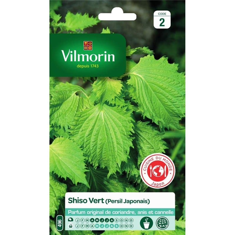 Vilmorin - Shiso Vert -Plante annuelle - Facile à réussir - Feuilles Graphiques décoratives -Incontournable dans la Cuisine Japo