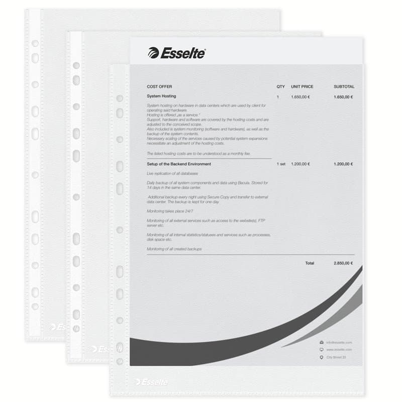Esselte, Pochettes Plastique Perforée A4, Matière Grainée Mate, Ouverture sur le haut, Polypropylène 43 Microns, Lot de 100, 561