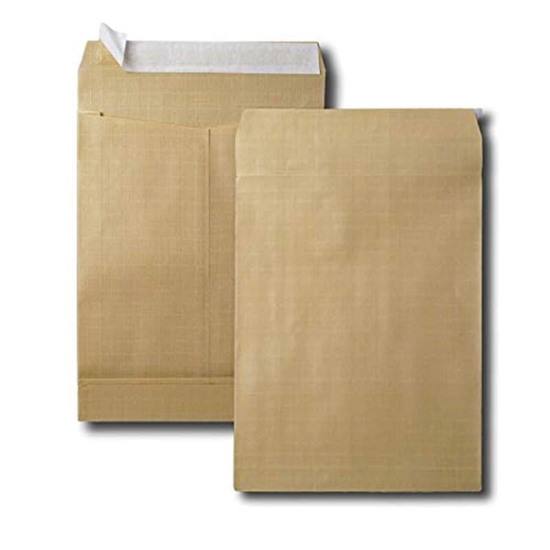 GPV - Boite de 50 Sac à soufflet - Format 24 (260x330x50 mm), sans fenêtre, qualité papier kraft : 120 g/m2 - Certifié PEFC