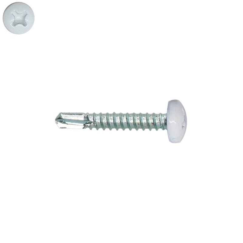 Vis autoperceuses 4,2x19 mm RAL 9010 blanc pur tête cylindrique Ph zinguées par 200
