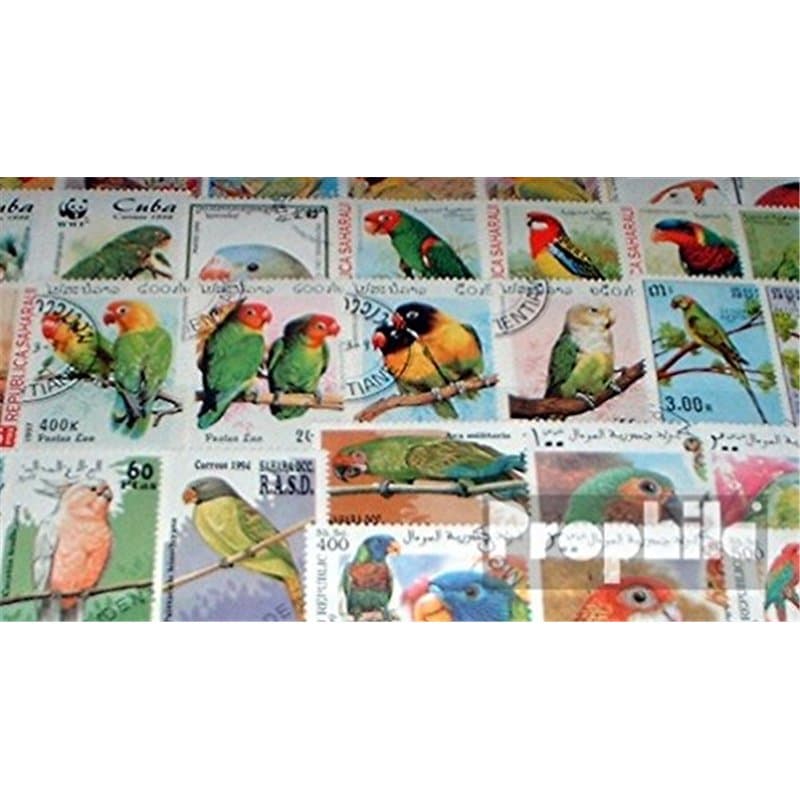 Motives 50 Divers perroquets Timbres (Timbres pour Les collectionneurs) Oiseaux