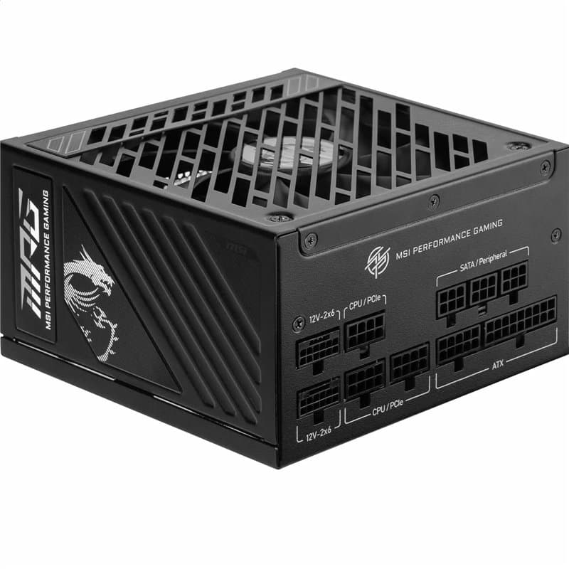 MSI MPG A1250GS PCIE5 Alimentation 1250W 80 Plus Gold ATX 3.1, PCIe 5.1 Support GPU, Dual-Native 12V-2x6, Câbles Modulaires avec