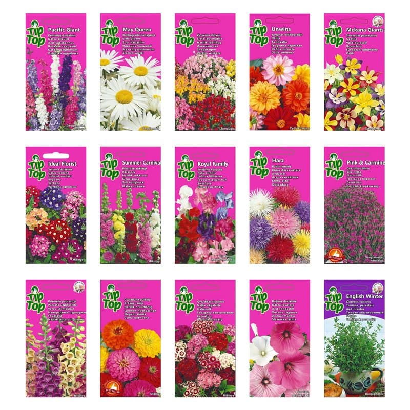 Collection de graines de fleurs inspirées de la RHS - 15 variétés de fleurs de jardin, polyvalentes et respectueuses des abeille