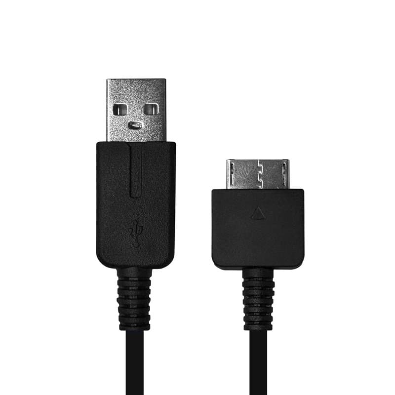 OcioDual Câble de Chargeur USB Compatible avec PSP Vita, PSV1000, Câble 2 En 1, Câble de Données de Synchronisation 5 V, 2 A, US