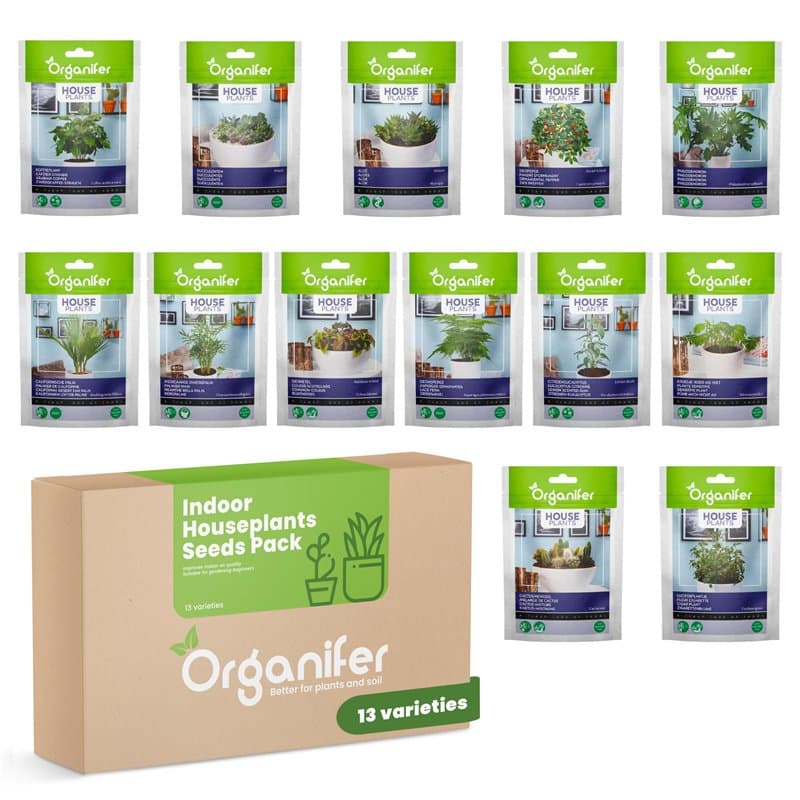 Paquet De Graines De Plantes D’Intérieur - Graines De Plantes D’Intérieur - Graines De Plantes - Plantes À Graines - Mélange De