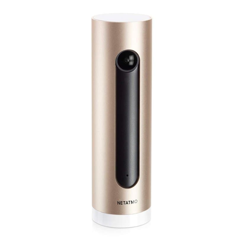 Netatmo NSC-PRO Caméra Intérieure Intelligente et connectée avec reconnaissance faciale et alerte sur smartphone,1080p, alu/or