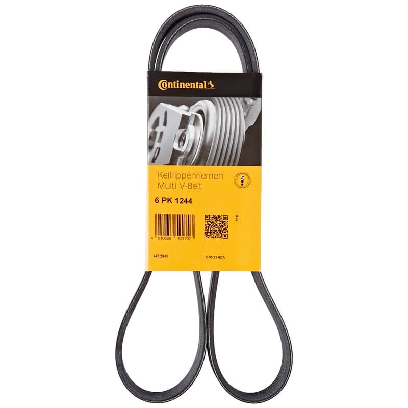 Continental Contitech 6PK1244 Courroie trapézoïdale à nervures