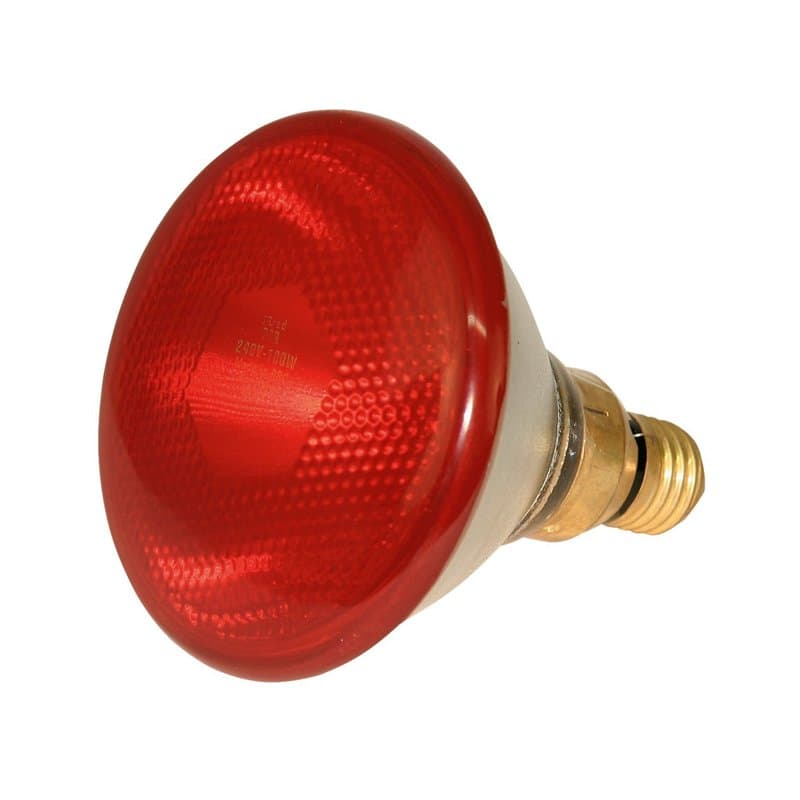Kerbl 22246 Lampe infrarouge Par38, Ampoule infrarouge, Lampe chauffante d'étable, 100W