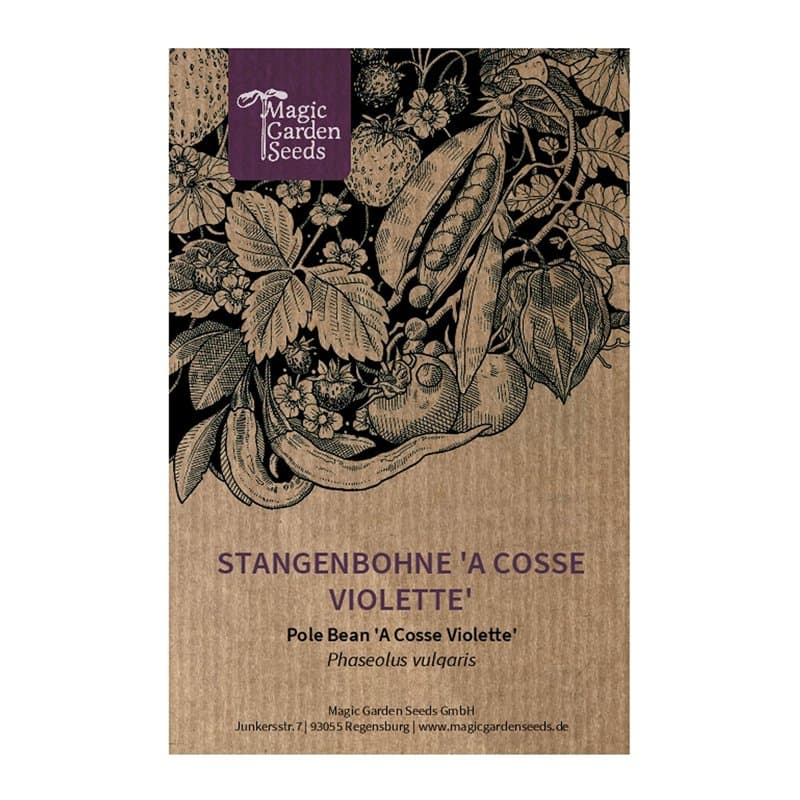Haricot à rames "A Cosse Violette" (Phaseolus vulgaris) env. 30 semences