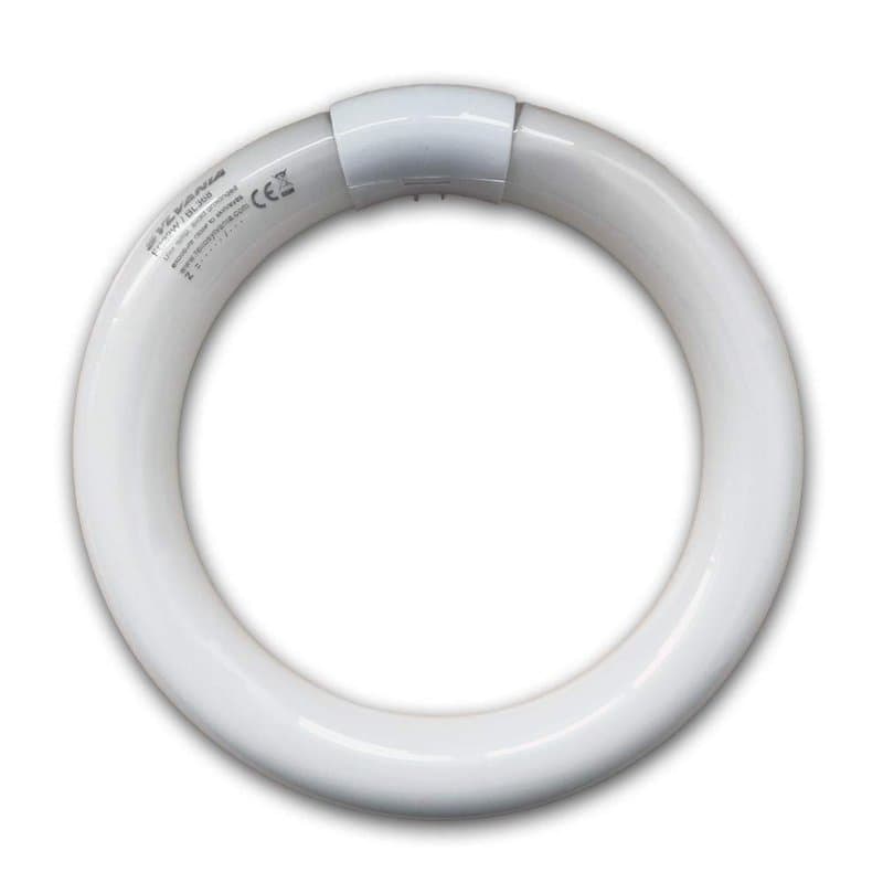 Lampe actinique fluorescente circulaire de rechange G10q 32 W pour 361B, 363G, 368G Mo-El