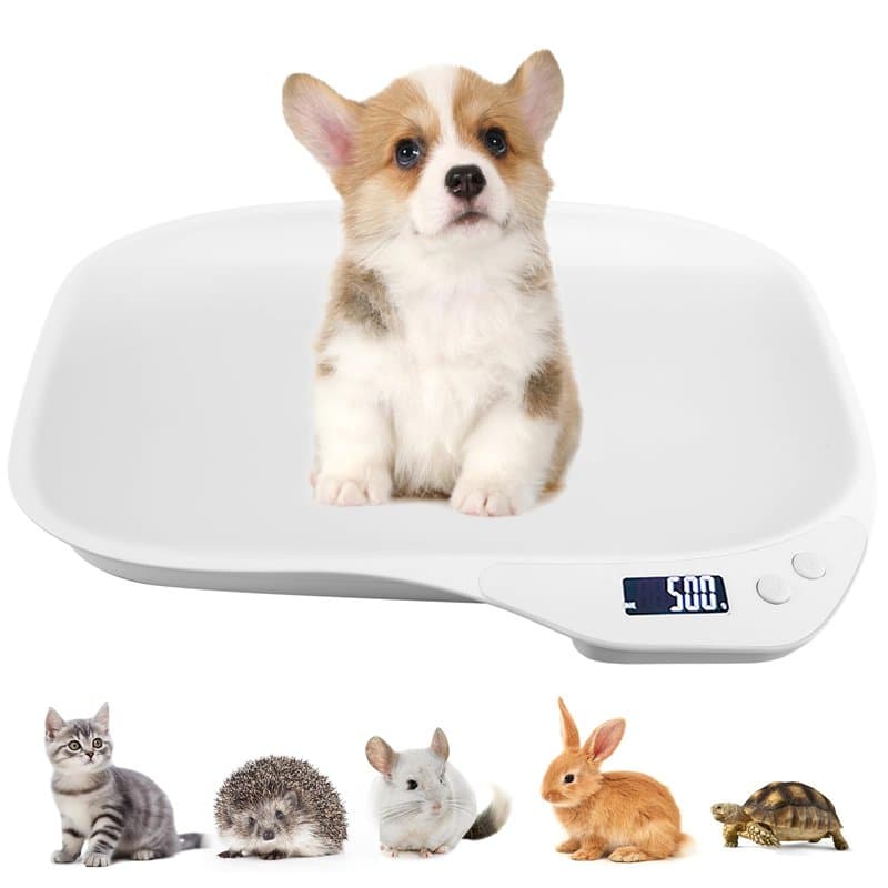 BORDEAG Pèse-Animal Numérique Multifonction, Pèse-Chien pour Petits Animaux, 15 Kg (± 1 G), pour Chatons, Chiots, Hamsters