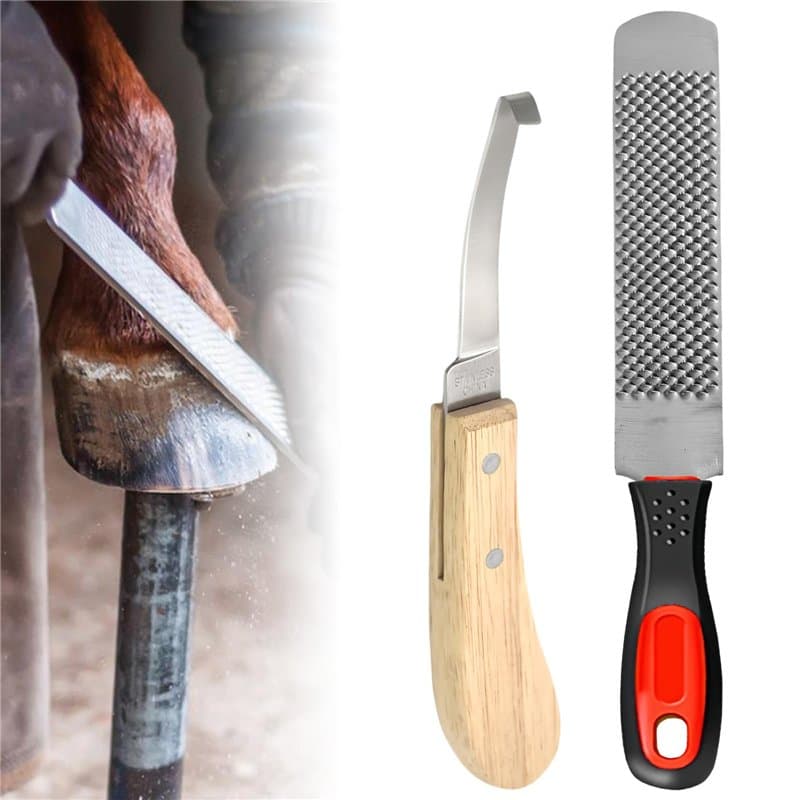 8 Pouces Lime À Sabots Cheval, Outils De Maréchal-Ferrant, Râpe Sabot en Acier Au Carbone, Soins des Sabots pour Chevaux, Râpe À