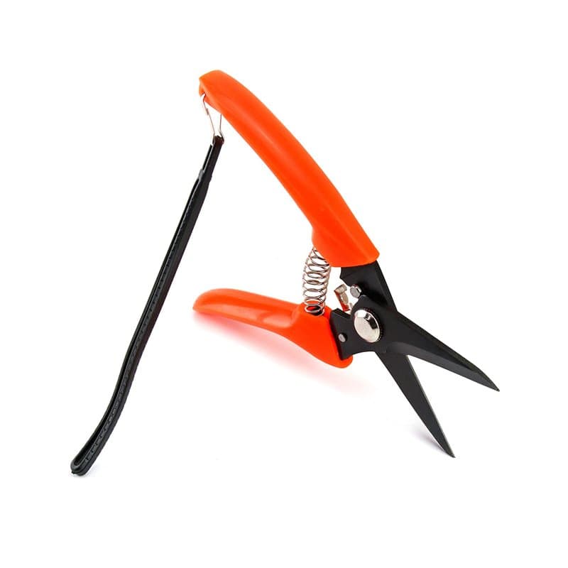 QWORK® Cisaille à pied en acier, coupe de sabot de chèvre à ressort pour mouton, alpaga, agneau, sabot de cochon