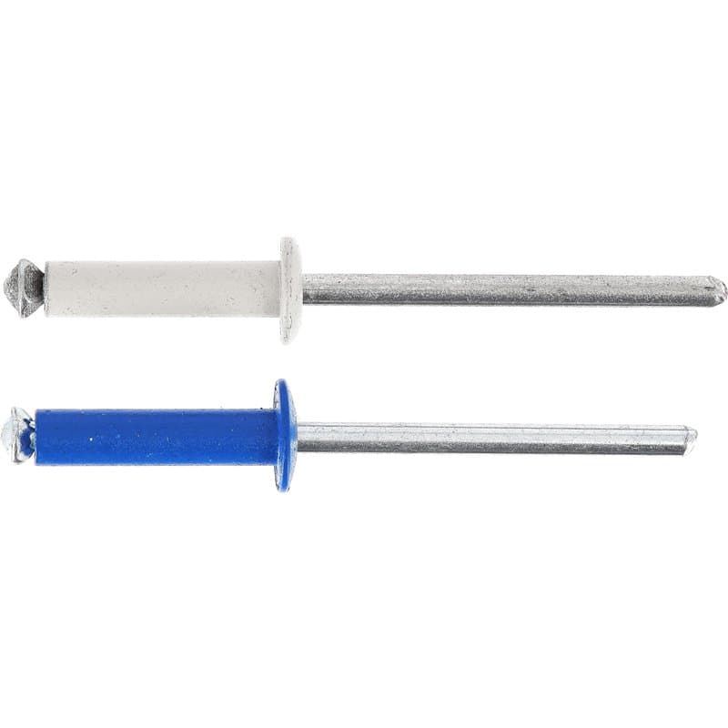 Restagraf - Rivets Épanouis Bleus, Blancs pour Plaques d'Immatriculation - Diamètre 4 mm - Longueur 26 mm - Réf. 225107 - Bliste