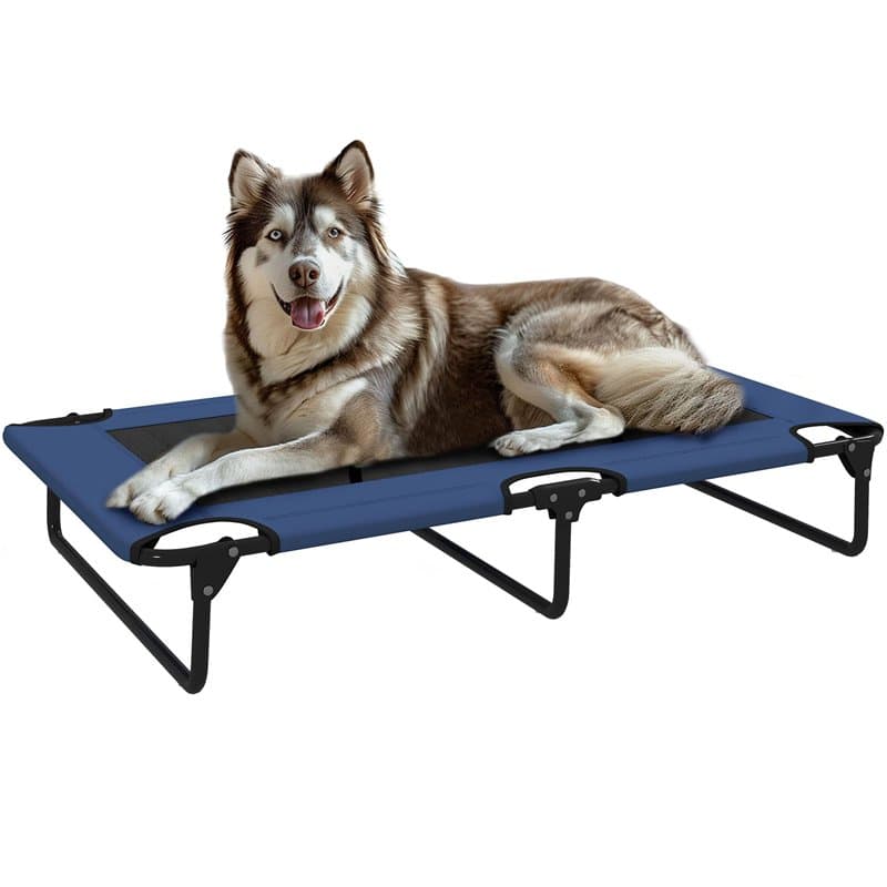 PawHut Lit surélevé pour Chiens Pliable rafraîchissant, lit de Camp pour Animaux en Maille Respirante Pieds en Acier pour intéri