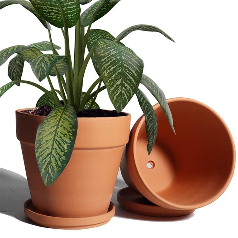 vensovo Lot de 2 grands pots en argile avec soucoupe - 20,3 cm - En terre cuite avec trou de drainage - Pour plantes d'intérieur