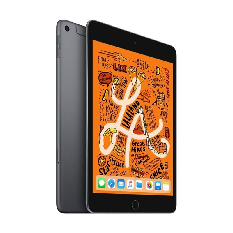 2019 Apple iPad Mini (7,9-pouces, Wi-Fi + Cellulaire, 256 Go) Gris Sidéral (Reconditionné)