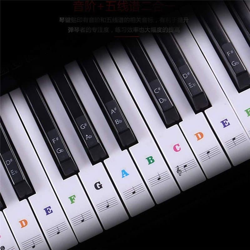 Alnicov Autocollants pour clavier de piano 88/61/54/49/37 touches, ne laisse aucun résidu, autocollants amovibles pour touches d