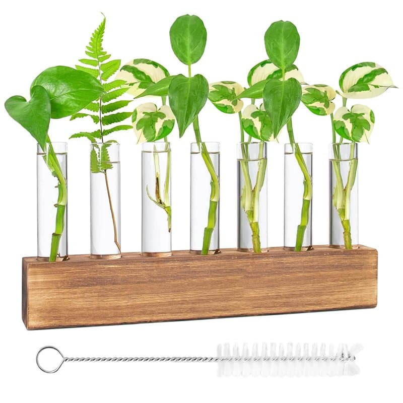 Vase en Verre De Tube À Essai Station De Propagation Vase en Verre Hydroponique avec Support en Bois pour Plantes Hydroponiques,