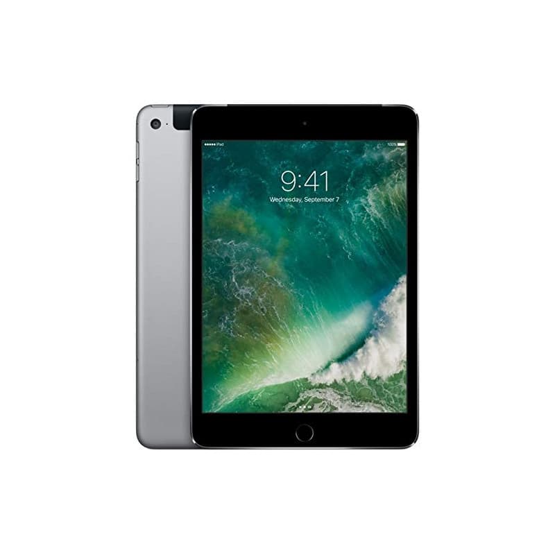 Apple iPad Mini 4 64Go Wi-Fi + Cellular - Gris Sidéral - Débloqué (Reconditionné)