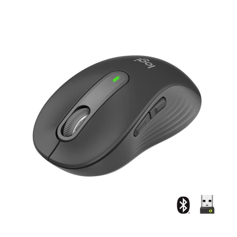 Logitech Signature M650 souris Droitier RF sans fil + Bluetooth Optique 2000 DPI