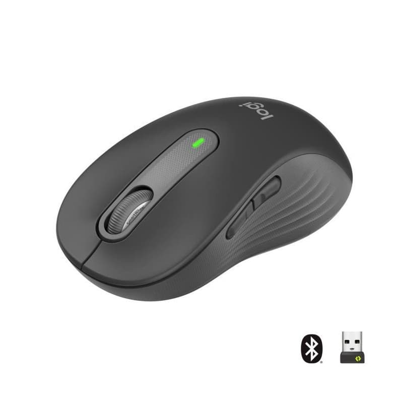 Logitech Signature M650 souris Droitier RF sans fil + Bluetooth Optique 2000 DPI