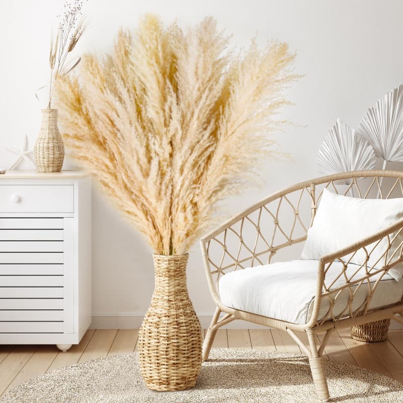 Lot de 10 Pampa XXL – Grandes Pampas séchées Decoration en Fleurs séchées pour Style bohème, idéal pour Salon, Chambre, Salle à