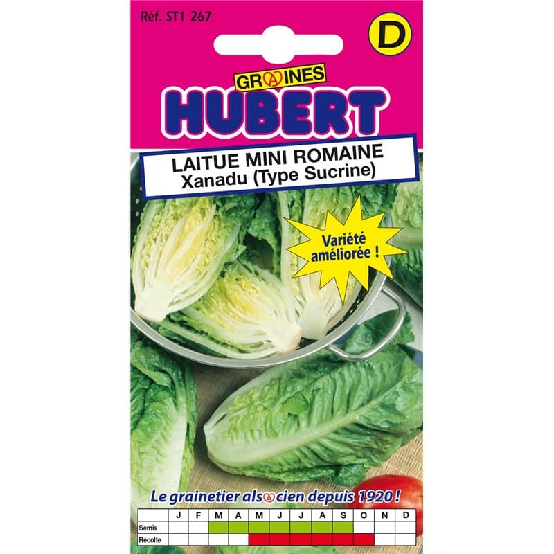 Graines de Laitue Mini Romaine Xanadu (Type Sucrine) - 0,5 grammes