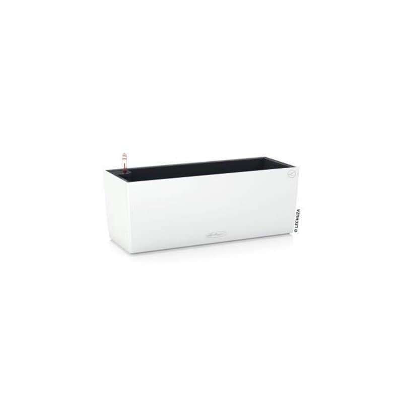 LECHUZA Jardiniere - Balconera Color 50 All-in-one - 50 x 19 x 19 cm - Blanc 15670