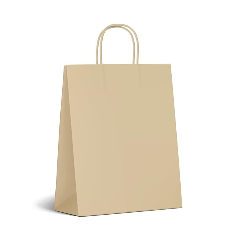 Inoverse 50 Sacs en Papier Kraft avec Poignées – 22 x 10 x 28 cm – Marron Sacs Cadeaux Recyclables, pour Shopping, Emballage Cad