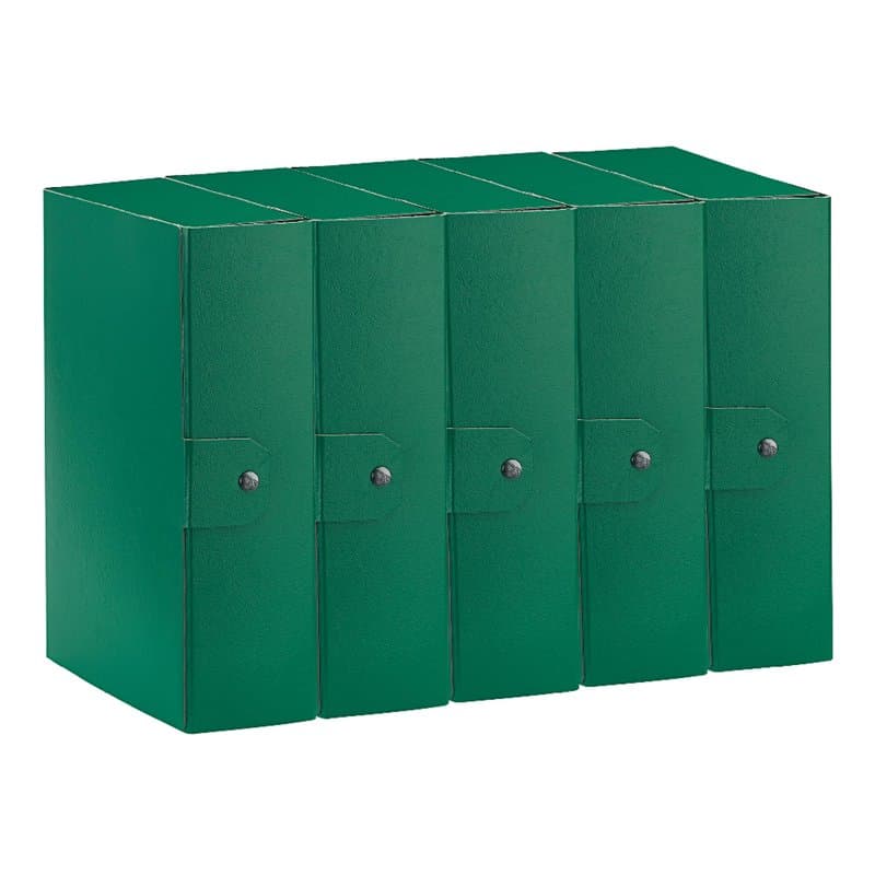 Esselte C30 EUROBOX 390330180 Lot de 5 dossiers pour le stockage, fermeture par bouton, 25 x 35 cm, dos 10 cm, vert