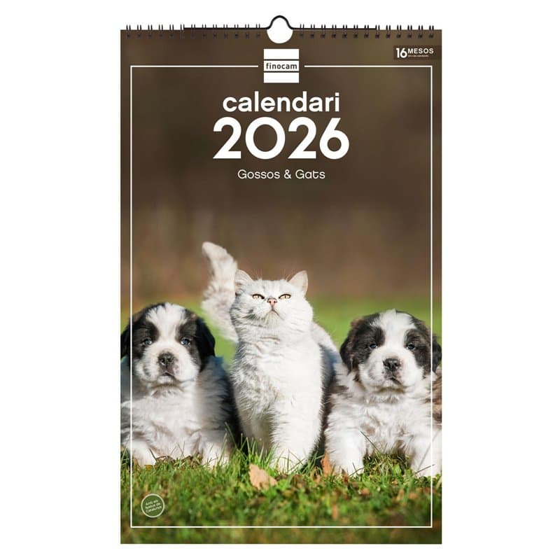 Finocam - Calendrier mural 2026 25 x 40 cm Mois vue Janvier - Décembre 2026 + Sep.- Déc. 2025 (4 mois) réduits | Calendrier 2026