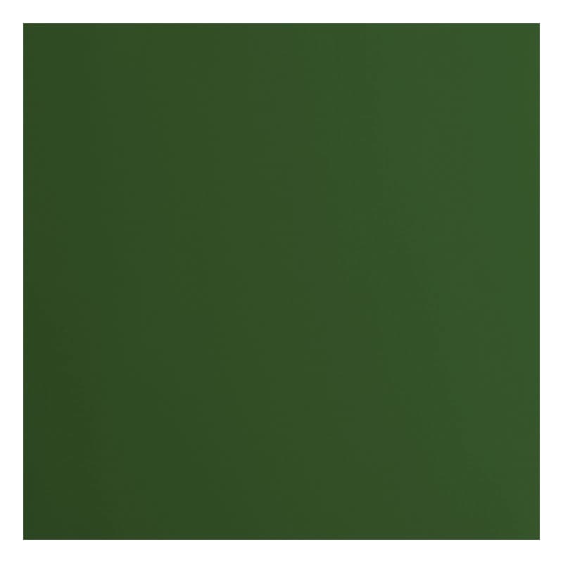Florence Papier Cartonné Vert Lisse - 30,5 x 30,5 cm - Pine - 20 feuilles - 216 g/m² - Papier pour Scrapbooking, Carterie, Perfo