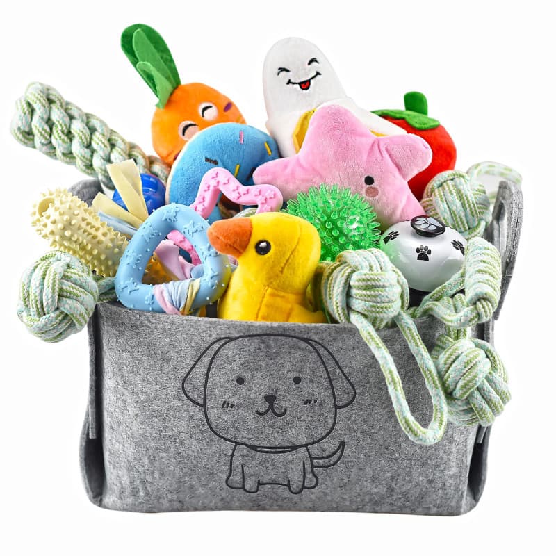 Ousiya Lot de 24 Jouets pour Chiots, Jouets de Dentition pour Chiots avec boîte de Rangement, à mâcher pour Chiens et couinants