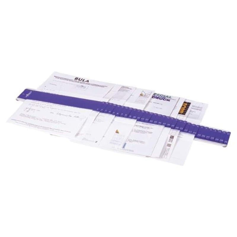 Durable 370006 Trieur de Bureau de Type Bande Métallique avec Onglets en Polypro - Indexation alphabétique A-Z et numérique 1-31