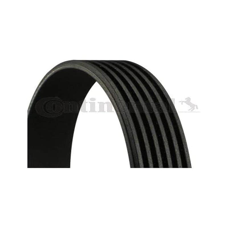 Continental Contitech 6PK780 ELAST Courroie trapézoïdale à nervures
