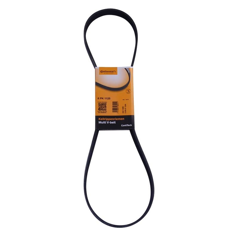 Continental Contitech 6PK1125 Courroie trapézoïdale à nervures