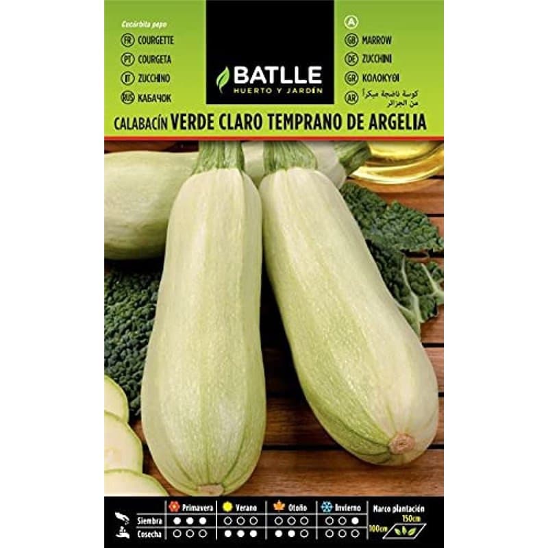 Semillas Batlle Graine pour courgettes Précoce, d'Algérie