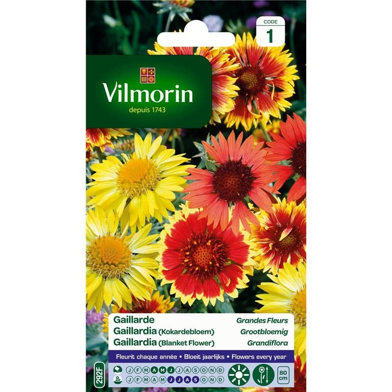 Vilmorin 5271241 Gaillarde variée à grande fleur Multicolore 9 x 0,5 x 16 cm
