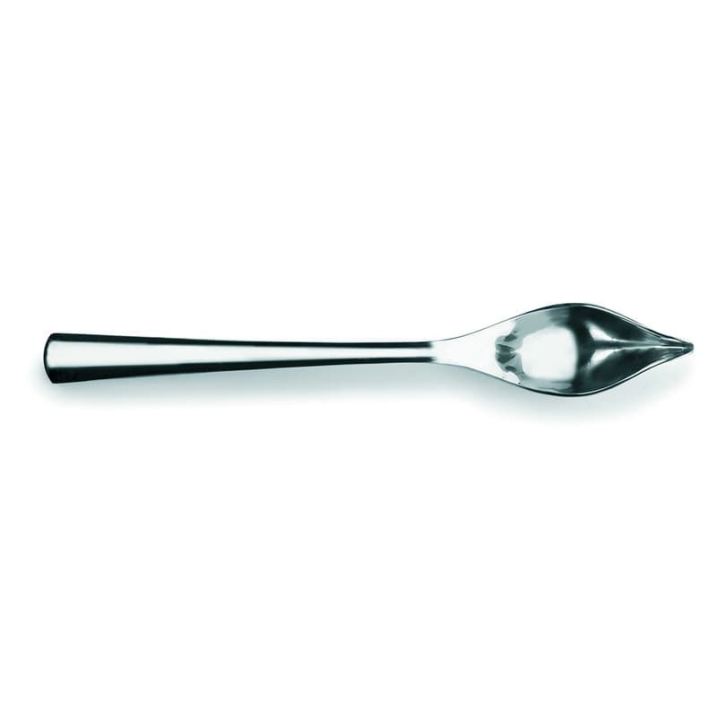 IBILI - 740921 Cuillère à plumes 21 cm, acier inoxydable, transparent
