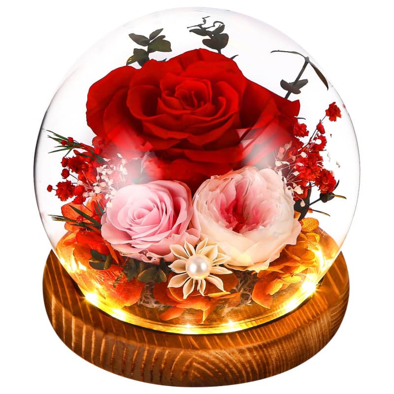 SOBEAU Rose Eternelle Fleur Eternel, Rose Eternelle sous Cloche pour Femme Maman, Noel Saint Valentin Fete Anniversaire, Cadeau