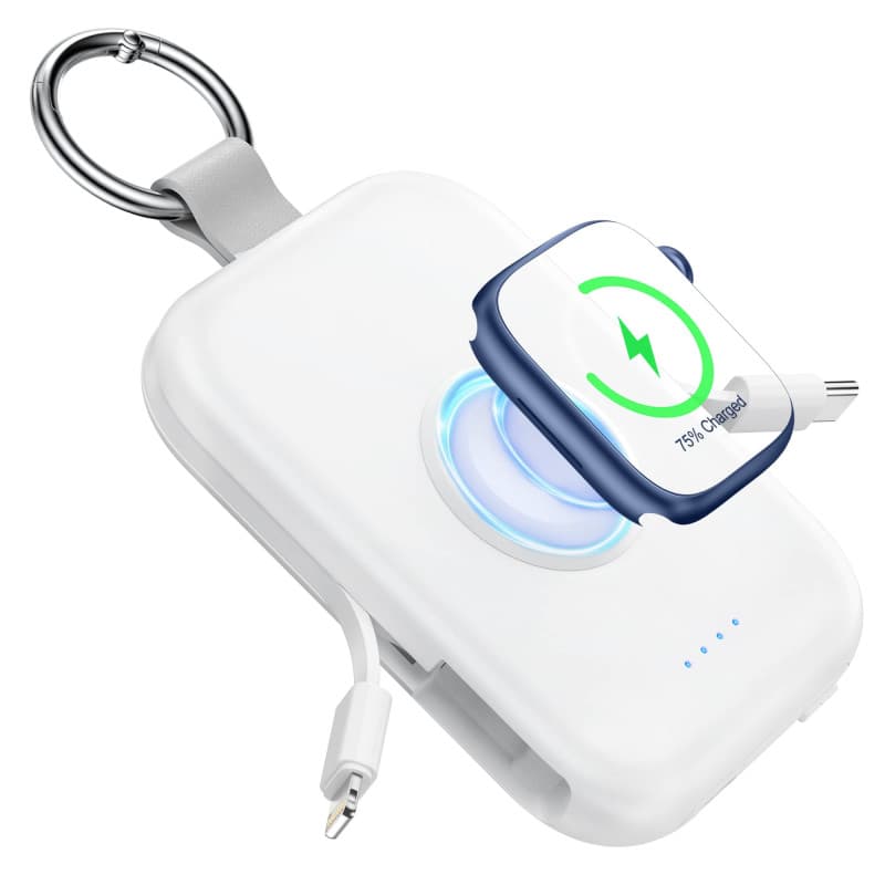 RORRY Batterie Externe de téléphone Portable 5000 mAh avec câbles intégrés, Porte-clés Compatible avec iPhone 16, 15, 14, 13, 12