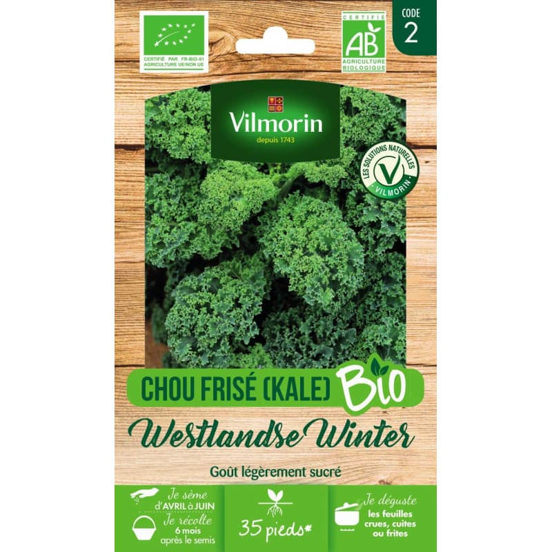 VILMORIN - Chou frisé West Winter Bio - pour Les récoltes d'hiver Jusqu'au Printemps - Semences Issues d'une Culture Conforme au