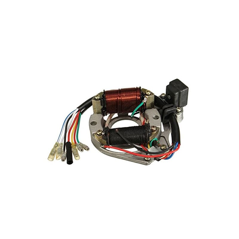 Alamor 50Cc 110Cc 125Cc 2 Bobine ATV Quad Stator Bobine D'Allumage Plaque Magnéto Chinoise