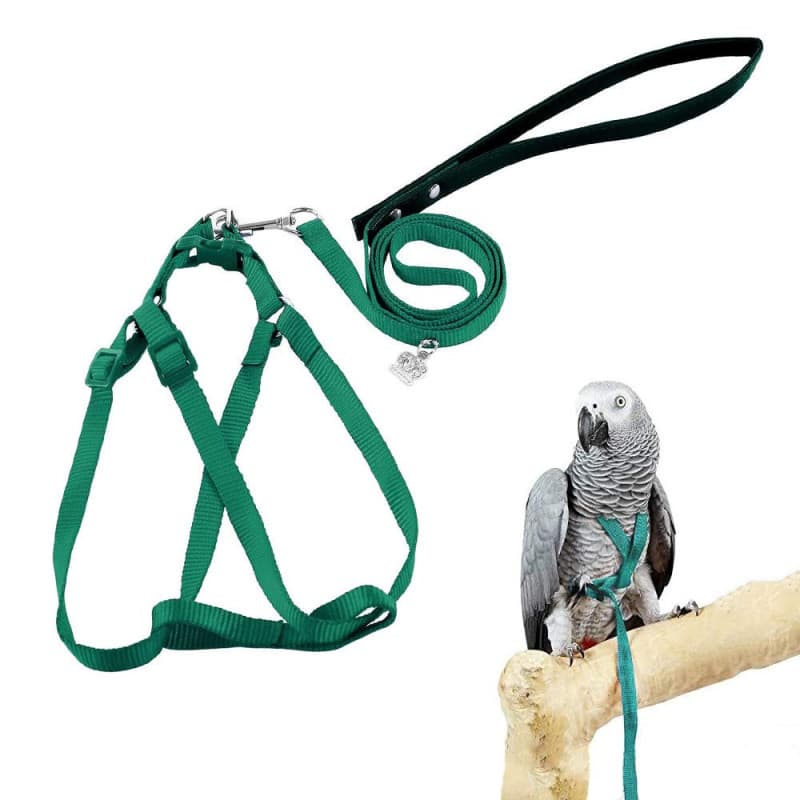 ASOCEA Harnais Et Laisse Pour Oiseaux Perroquet Attache RéGlable En Plumes Volant En Nylon Corde De Marche ExtéRieure Anti-Morsu