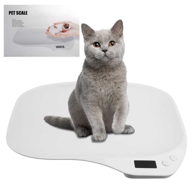 BORDEAG Balance pour Animaux, 15 Kg (± 1 G) Balance Numérique pour Animaux, Pèse-Personne Numérique, Mini Balance Numériques, Ba